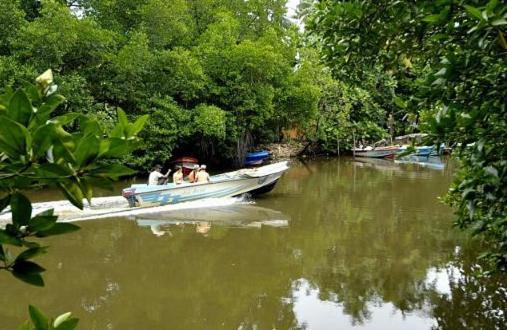Riverdale Eco Resort Beruwala Eksteriør billede