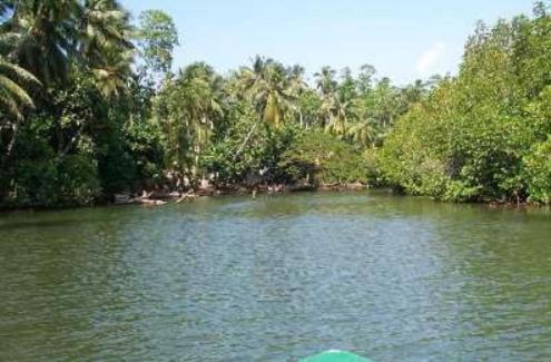Riverdale Eco Resort Beruwala Eksteriør billede