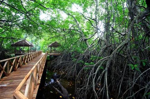 Riverdale Eco Resort Beruwala Eksteriør billede